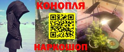 индика Берёзовский