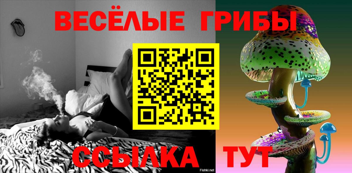 Артёмовский  Псилоцибиновые грибы MAGIC MUSHROOMS  Вход с VPN 